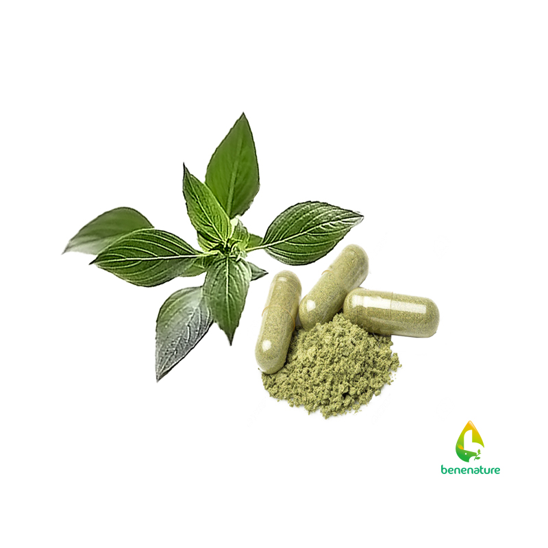 andrographis extract powder capsules