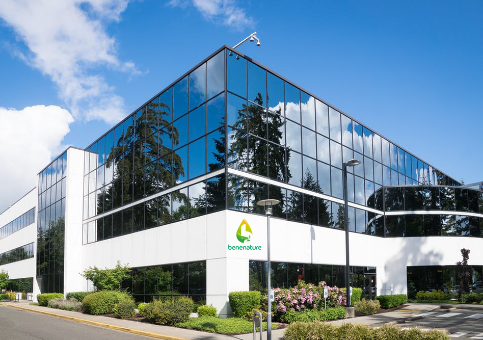 Top Andrographis extracts manufacturer and plant extracts supplier-Benenature.