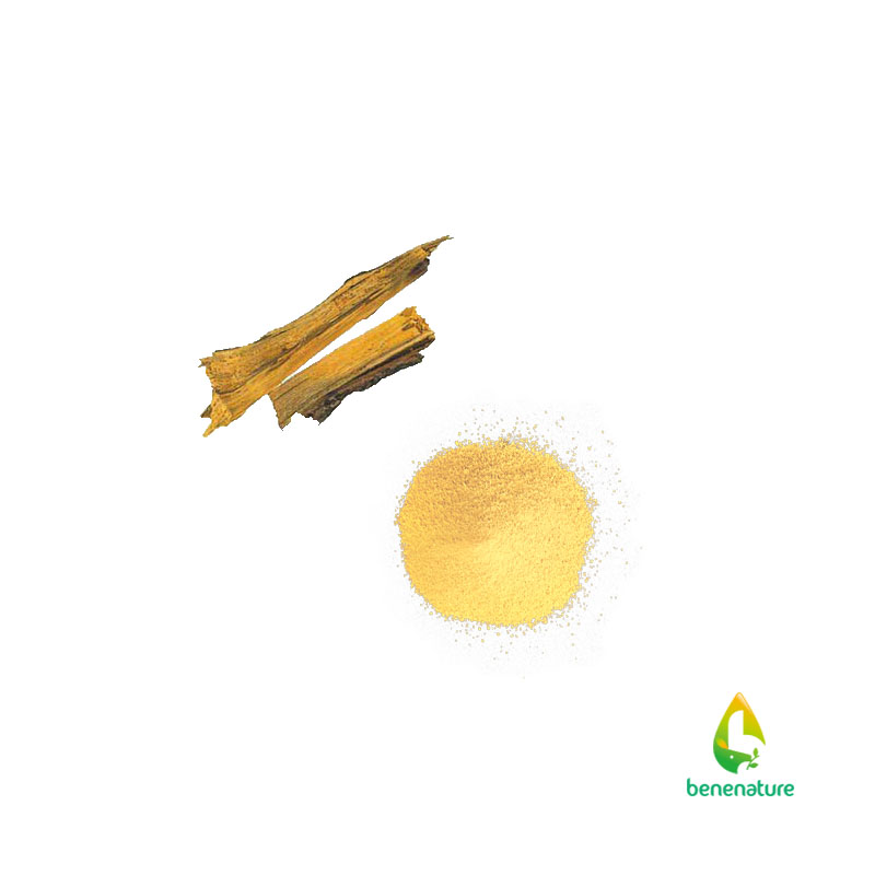 Low pesticide residues berberis bark extract, best natural ingredients for capsule beberine nutraceuticals